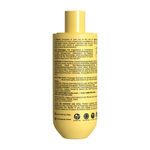 Buy Clensta Eggstreme Hair Repair Shampoo With Egg Protein, Biotin & Hydrolyzed Silk Protein | Promotes Strengthening & Repair Damaged Hair | Sulfate & Paraben Free | For Men & Women - 650 ml - Purplle