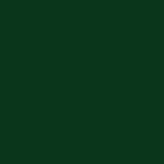 Buy KINDED Eye Liner Liquid Waterproof Smudgeproof (5 ml, Matte Finish, Dapper Green) - Purplle