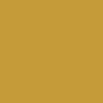Buy KINDED Loose Shimmer Makeup Foil Pigments Powder Dust Eyeshadow Highlighter (3 gm, Golden) - Purplle