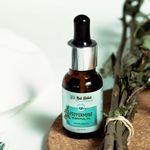 Buy Nat Habit Peppermint Essential Oil (15 ml) - Purplle