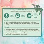 Buy Nat Habit Peppermint Essential Oil (15 ml) - Purplle