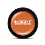 Buy Insight Cosmetics Concealer - Tangy Orange (3.5 gm) - Purplle