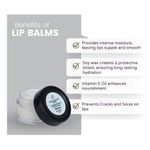 Buy Chilife Natural Clear Lip Balm I No Added Chemicals or Preservatives I I Natural & Vegan I 5 gm - Purplle