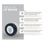 Buy Chilife Natural Clear Lip Balm I No Added Chemicals or Preservatives I I Natural & Vegan I 5 gm - Purplle