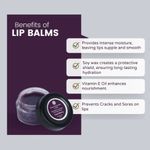 Buy Chilife Natural Cool Berry Lip Balm I No Added Chemicals or Preservatives I I Natural & Vegan I 5 gm - Purplle