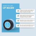 Buy Chilife Natural Minty Blue Lip Balm I No Added Chemicals or Preservatives I I Natural & Vegan I 5 gm - Purplle