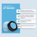 Buy Chilife Natural Minty Blue Lip Balm I No Added Chemicals or Preservatives I I Natural & Vegan I 5 gm - Purplle