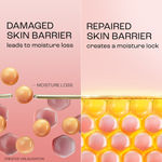 Buy Lakme Peach Milk Creme Moisturizer with 2% Pro-Ceramide & Peptides | Repairs Damaged Skin Barrier & Gives Intense Hydration | For Dry Skin, Normal Skin & Sensitive Skin 100 gm - Purplle