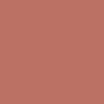 Buy Lamel Long lasting Gel Lip Liner 403-Burnt Ocher 1.7 gm - Purplle