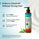 Buy Pilgrim Australian Tea Tree, Non-Drying Anti-Dandruff Shampoo, 200 ml With Salicylic Acid, Helps Reduce visible Flakes & Dandruff Recurrence - Purplle