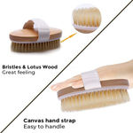 Buy Sanfe Dry Brush Body Scrubber for Dead Skin Wooden bath brush to Dry brushing Exfoliate & Soften Skin | Improve Circulation | Stop Ingrown Hairs |Reduce Acne Suitable For All Skin Types - 100 gm - Purplle