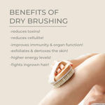 Buy Sanfe Dry Brush Body Scrubber for Dead Skin Wooden bath brush to Dry brushing Exfoliate & Soften Skin | Improve Circulation | Stop Ingrown Hairs |Reduce Acne Suitable For All Skin Types - 100 gm - Purplle