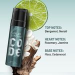 Buy Wild Stone CODE Steel Long Lasting No Gas Body Perfume for Men, 150 ml - Purplle