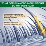 Buy Alps Goodness Anti Hairfall Combo I Hair Growth Heros I Shampoo & Conditioner Combo I Anti Hairfall Kit For Men & Women Combo of 2 - Purplle