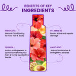 Buy Alps Goodness Curl Combo Shampoo & Conditioner with Avocado & Hibiscus for Curly & Wavy Hair (210 ml) - Purplle