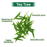 Buy Good Vibes Acne Control Tea Tree Combo (Foaming Facewash(150 ml), Toner(120 ml), Serum(10 ml), Gel creme(50 gm)) - Purplle