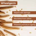 Buy Good Vibes Day + Night Combo Ubtan De-tan Glow Light Day Cream & Wheatgerm Nourishing Night Cream Combo of 2 - Purplle
