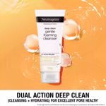 Buy Neutrogena Deep Clean Gentle Foaming Cleanser Pack of 2 (50 ml X 2) - Purplle