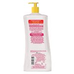 Buy Meera Anti Dandruff Shampoo, With Small Onion and Fenugreek, 650 ml - Purplle