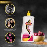 Buy Meera Anti Dandruff Shampoo, With Small Onion and Fenugreek, 650 ml - Purplle