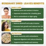 Buy Mystiq Living Rosemary Dry Leaves for Hair Growth | Organic Dried Rosemary Leaves for Food, Tea and Hair | Perfect for Rosemary Water - 70 Gm - Purplle