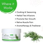Buy Mystiq Living Rosemary Dry Leaves for Hair Growth | Organic Dried Rosemary Leaves for Food, Tea and Hair | Perfect for Rosemary Water - 70 Gm - Purplle