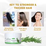 Buy Mystiq Living Rosemary Dry Leaves for Hair Growth | Organic Dried Rosemary Leaves for Food, Tea and Hair | Perfect for Rosemary Water - 70 Gm - Purplle