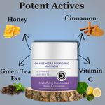 Buy Dermistry Oil Free Hydra Nourishing Mattifying Moisturizer Face Gel | Use Day Night I Pimples Oily Acne Prone Skin I Cinnamon Honey Green Tea Vitamin C Lightweight Non-Greasy Women Men 50 ml - Purplle