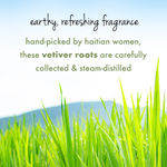 Buy Love Beauty Planet Tea Tree, Peppermint & Vetiver Sulfate Free Purifying Shampoo, 200 ml - Purplle