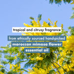 Buy Love Beauty Planet Coconut Water and Mimosa Flower Paraben Free Volume and Bounty Conditioner, 400 ml - Purplle