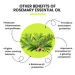 Buy Alps Goodness Rosemary Essential Oil (30 ml) (Pack of 2) - Purplle