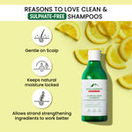 Buy Alps Goodness Tea Tree Oil, Lemon & Climbazole Anti-Dandruff Shampoo for Oily Scalp (290 ml) | Sulphate Free Shampoo| Silicone Free Shampoo | Gentle & Mild Cleansing Shampoo| Anti-Dandruff Shampoo| Shampoo for Oily Hair| Shampoo for Oily Scalp - Purplle