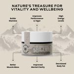 Buy Wellbeing Nutrition Pure & Original Himalayan Shilajit Resin 20 gm for Strength, Stamina & Performance | Shilajit Resin for Men & Women with 75% Fulvic Acid & 85 Trace Minerals | Lab Tested - Purplle