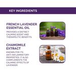 Buy Otrix French Lavender Body Wash 290 ml - Purplle