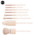 Buy MeSkin Travel Makeup Brushes Set: 8-in-1 Mini Foundation Brush, Portable Face Powder Brush, Blush Concealers, Eye Makeup Brushes, Puff Sponge with Organizers and Storage Boxes (Pink) - Purplle