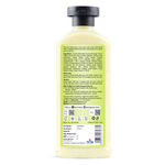 Buy Bath & Blends Lemon Sorbet Body Wash|Hydrate and Moisturize Skin|No Paraben | 245 Ml - Purplle