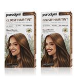 Buy Paradyes Hazel Brown Glossy Hair Tint Semi-Permanent Creme Color For Natural Black Hair (Pack of 2) - Purplle