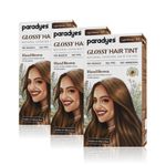 Buy Paradyes Hazel Brown Glossy Hair Tint Semi-Permanent Creme Color For Natural Black Hair (Pack of 3) - Purplle