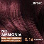 Buy Streax Hair Colour - Burgandy (70gm+50ml) - Purplle