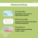 Buy The Derma co. 4% Ceramide Barrier Repair Moisturizer | Niacinamide & Oxylance I Repairs & Strengthens Skin I Improves Skin texture I Lightweight Cream I 24 Hrs Moisturization | For All Skin Type - 100 gm - Purplle
