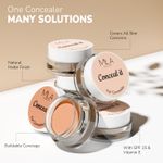 Buy MILA BEAUTE Conceal It Pot Concealer With SPF 15 & Vitamin-E Light Weight & Full Coverage Concealer - Hazelnut (4 gm) - Purplle