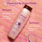 Buy Naturali Hairfall Arrest Shampoo with Red Onion & Bhringraj | Controls Hairfall | Paraben and Sulphate Free Shampoo | Hairfall Shampoo for Men & Women - Purplle