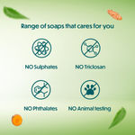 Buy Himalaya Neem & Turmeric Soap (125 gm) Buy 3 Get 1 Free - Purplle