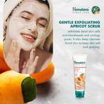 Buy Himalaya Gentle Exfoliating Apricot Scrub (100 gm) - Purplle