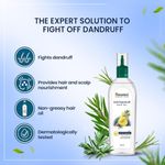 Buy Himalaya Anti Dandruff Hair Oil (100 ml) - Purplle