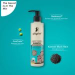Buy Pilgrim Redensyl & Anagain Hairfall Control Shampoo - Pack Of 2 (200ml * 2) - Purplle