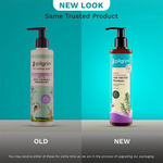 Buy Pilgrim Rosemary & Biotin Anti-Hairfall Shampoo-Pack of 2| Reduces Hair Fall | DHT Blocker | Strengthens Hair Roots| Sulfate-Free | Hair Fall Control|400 ml - Purplle