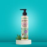 Buy Pilgrim Spanish Rosemary & Biotin Anti-Hairfall Shampoo - Pack of 2 (200ml*2) - Purplle