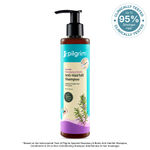 Buy Pilgrim Rosemary & Biotin Anti-Hairfall Shampoo-Pack of 2| Reduces Hair Fall | DHT Blocker | Strengthens Hair Roots| Sulfate-Free | Hair Fall Control|400 ml - Purplle