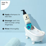 Buy Pilgrim Sulfate Free Shampoo Pack of 2 (200ml*2) - Purplle